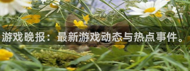 鼎点娱乐科技：游戏晚报：最新游戏动态与热点事件。