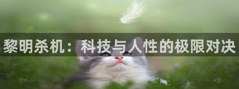 鼎点娱乐网页登录入口下载：黎明杀机：科技与人性的极限对决