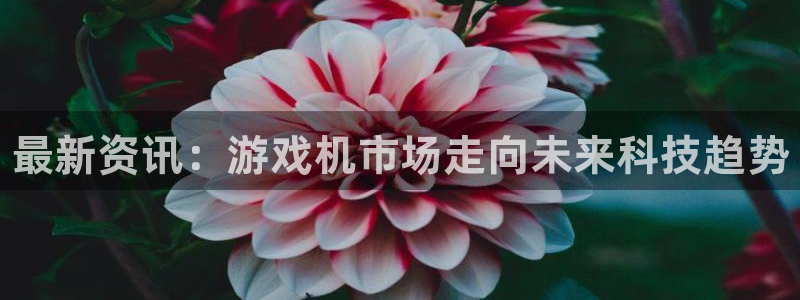 沐春鼎点娱乐：最新资讯：游戏机市场走向未来科技趋势