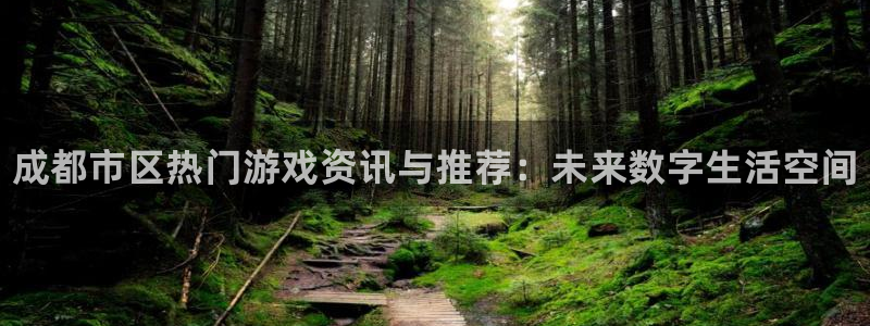 鼎点娱乐手机网页版登录：成都市区热门游戏资讯与推荐：未来数字