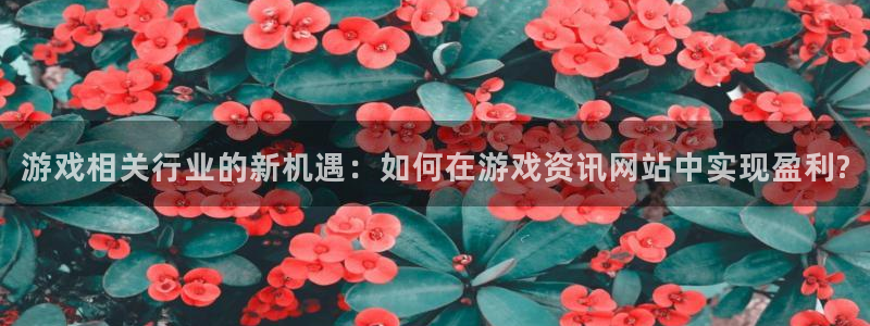 鼎点娱乐平台官方网站：游戏相关行业的新机遇：如何在游戏资讯网