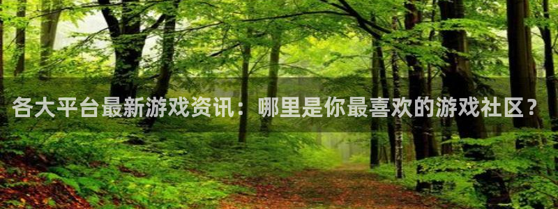 鼎点娱乐注册账号：各大平台最新游戏资讯：哪里是你最喜欢的游戏