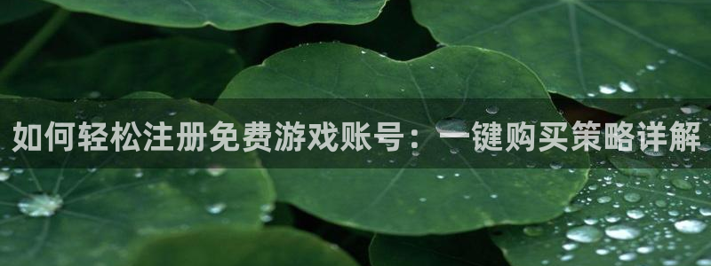 鼎点娱乐官方平台：如何轻松注册免费游戏账号：一键购买策略详解